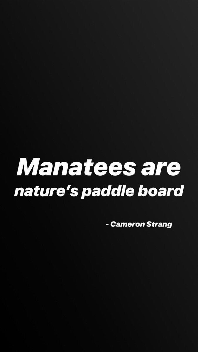 BestOfRelevant's tweet photo. I want to ride one now 😁
Episode 707 @cameronstrang @RELEVANT @RELEVANTpodcast #bestofrelevant #relevantpodcast #christianquotes #christianquotesdaily https://t.co/mvqa3jbimm