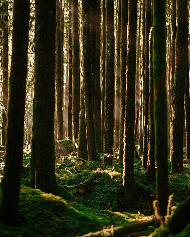 Weekends starting to look like an absolute beauty. Make sure to get out and enjoy some nature vibes. 
After a long week with stress, work and just life. You need grasp reality, which in this case is a beauty thanks to this beautiful city/province we resi… bit.ly/2HoXtMX