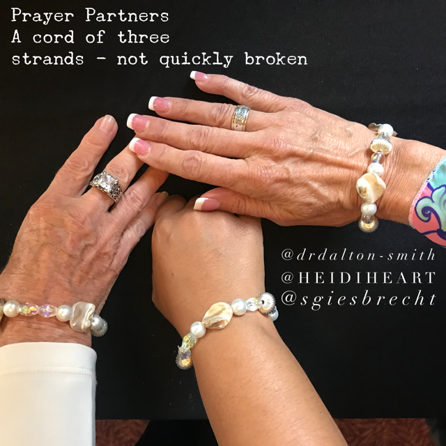 SGiesbrecht's tweet image. Love my prayer partners. Once a month via Skype. Five years strong. Last summer Speak Up Conference Dr. Saundra Dalton-Smith Author Heidi McLaughlin AWSA #friendsaresisters #bettertogether #prayon #praycircles #prayGodspromises #watchGodmove ow.ly/6wHa50ufEO0