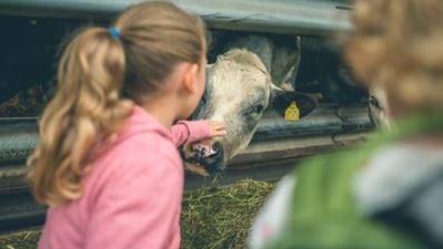 Fabulous Farm Shops tweet media