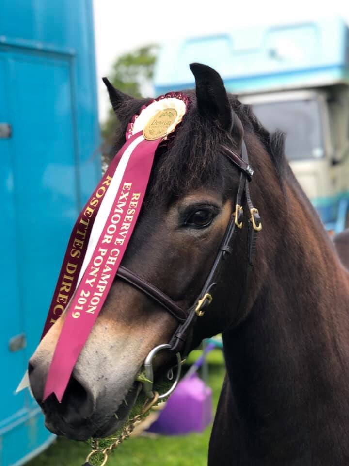 nigel french tweet media