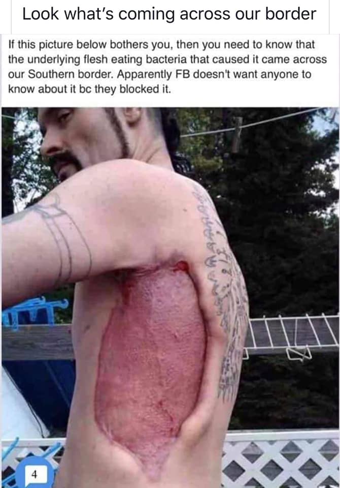 A Conservative Who Loves America! tweet media