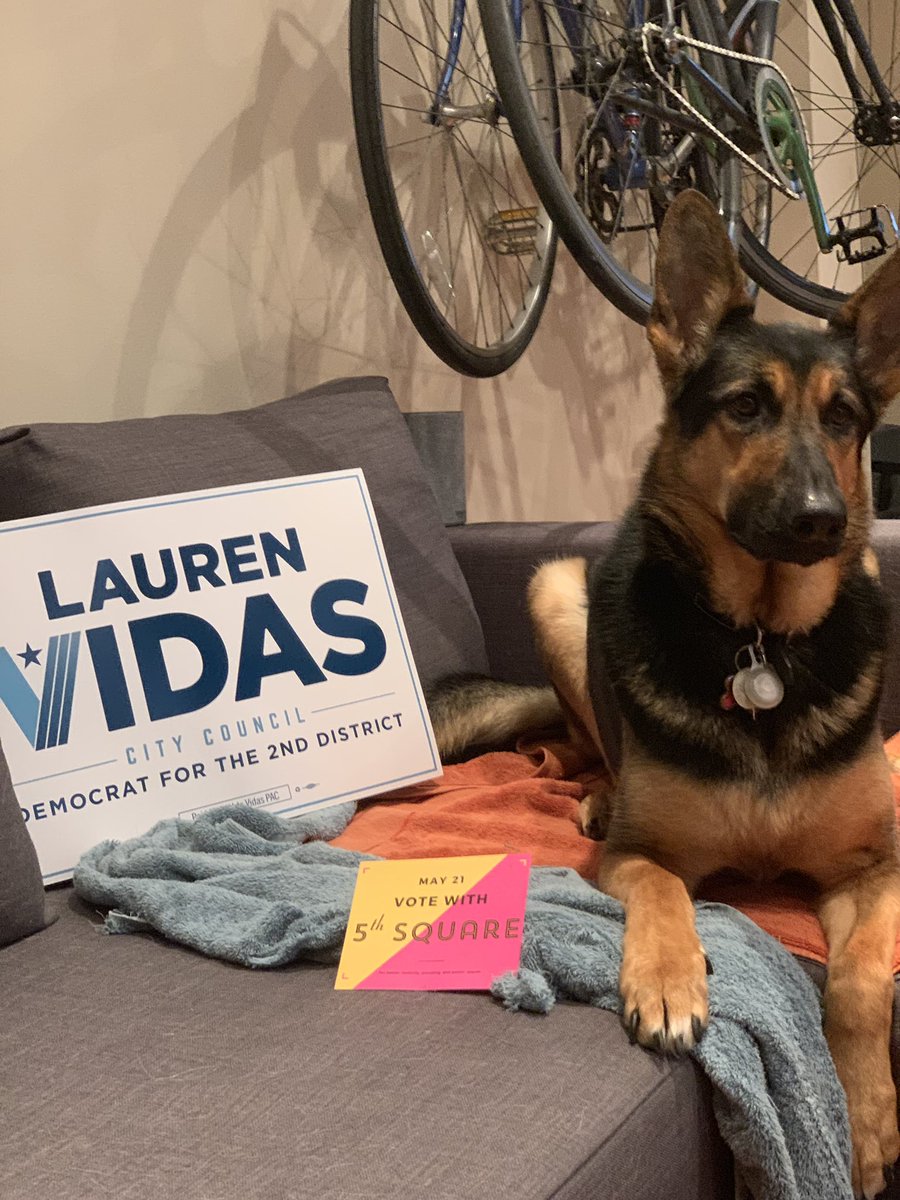 Kiera can’t vote because well she’s a dog but she wants you to know you should vote for <a href="/VoteVidas/">Lauren Vidas</a> and the whole slate of <a href="/5thSq/">@5thsq.org (on Bluesky)</a> endorsed candidates! 5thsq.org/2019_election_…