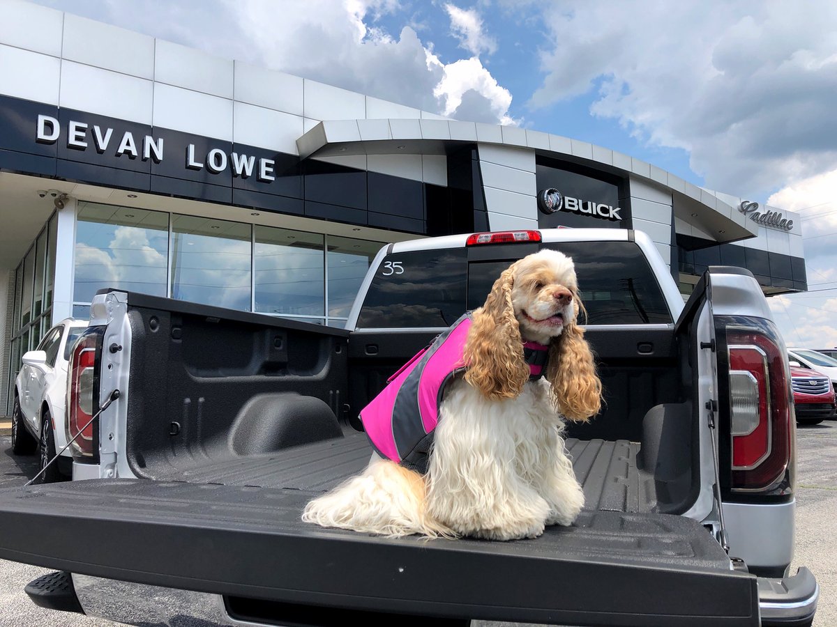 DevanLoweInc's tweet photo. “Did you know it’s Wear Your Life Jacket to Work Day to kick off National Safe Boating Week?  Oh, and also, if you need a truck to tow your boat, I can get you up to $15,000 in savings on a new Sierra.”
-Keys 🐶 
#TruckMonth 
#NoFeesPlease
#MemorialDaySale 🇺🇸🇺🇸🇺🇸 https://t.co/1YolcspPHg