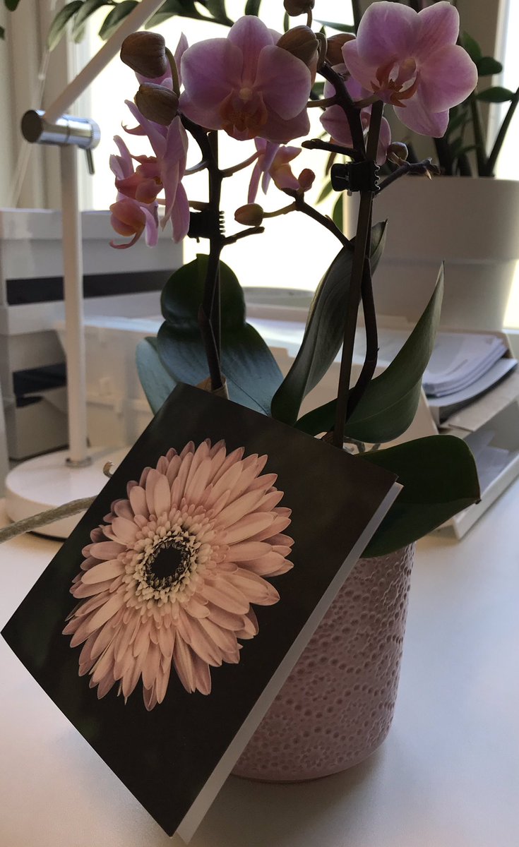 Har känt mig så välkomnad på min nya arbetsplats🙏 Tack <a href="/Tegelhagen/">Tegelhagens skola</a> och all personal!💕💕💕 #solskol #mittsollentuna