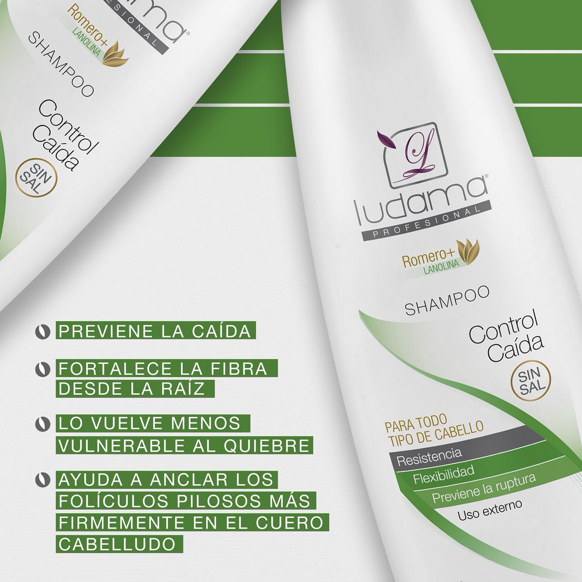 ludama_ec's tweet photo. Olvídate de la caída de tu cabello y #realzatubellezaconludama💆💇 https://t.co/CVlxD5dtJ5