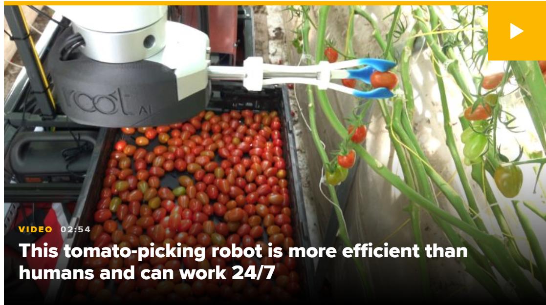 shvaikovsky's tweet image. #Robotics: #RootAI developed 1st agricultural robot, the #Virgo1, an expert #tomato picker, it picks tomatoes w/o bruising them and detects ripeness better than #humans. Time is here - robots automate many laborious, routine, and potentially dangerous jobs cnbc.com/2019/05/11/roo…
