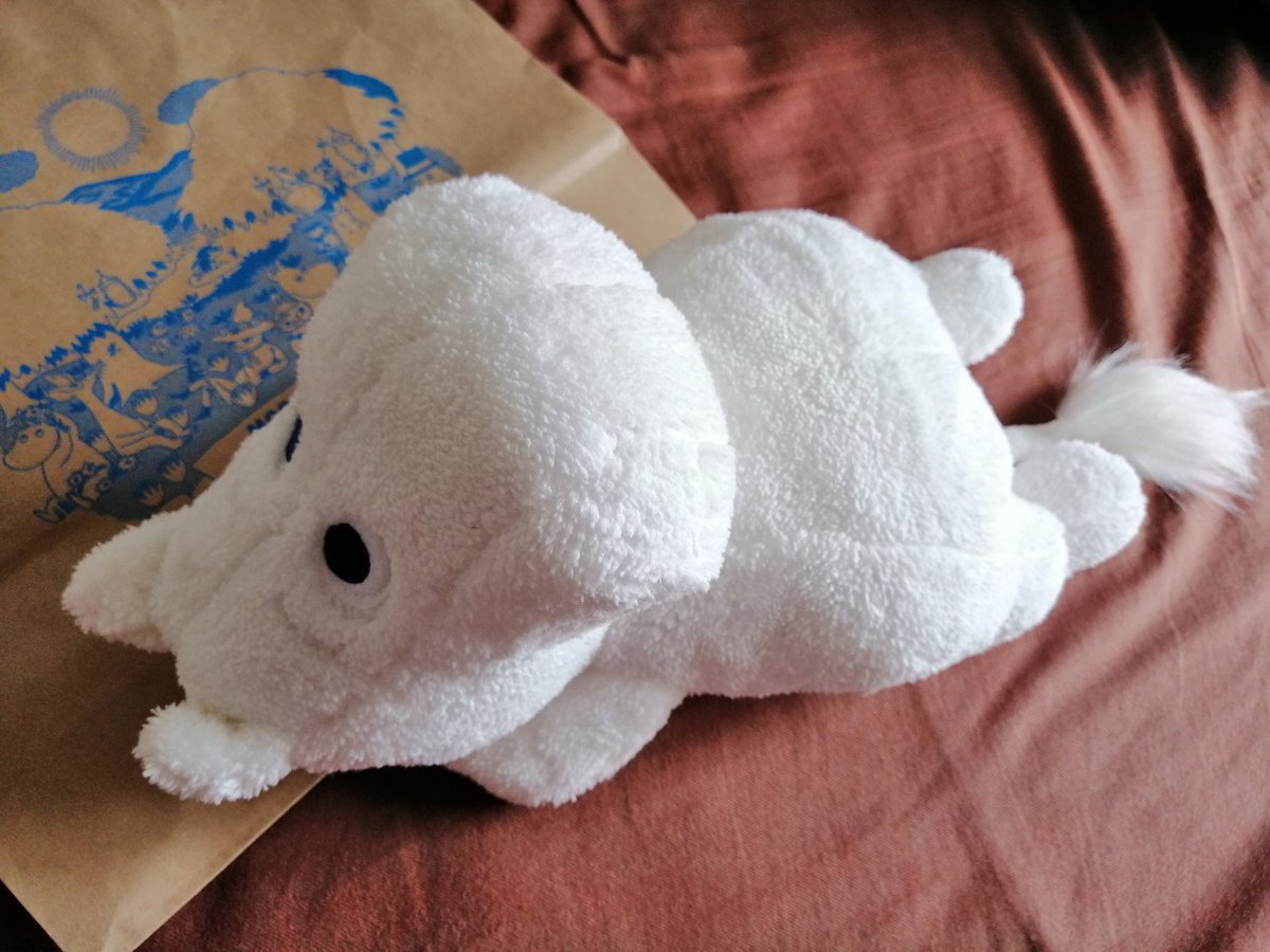 ムーミンパークのお土産😆
ぬいぐるみ久々に買った❗癒される💕#ムーミンパーク #飯能 #ムーミンバレーパーク