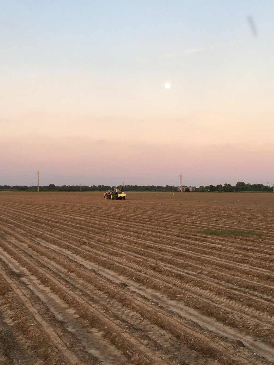 Jake McNeal tweet media