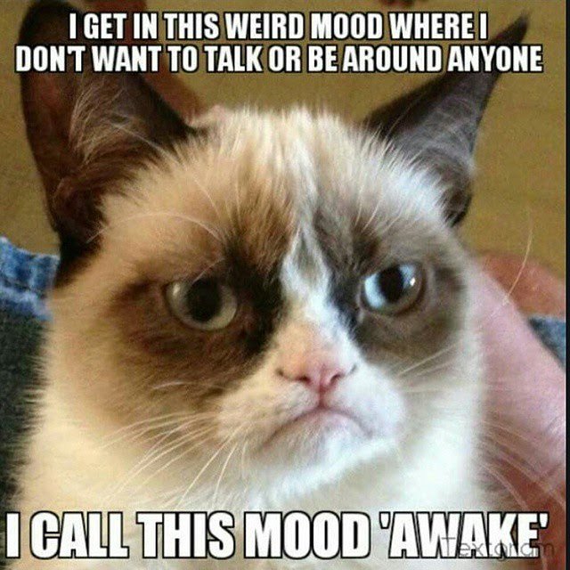 what_da_florida's tweet photo. #RIPtardar #RIPsauce #grumpycat #grumpiercat #grumpy4life #tardarsauce #jesuisgrumpy https://t.co/7u1eovJqZ0