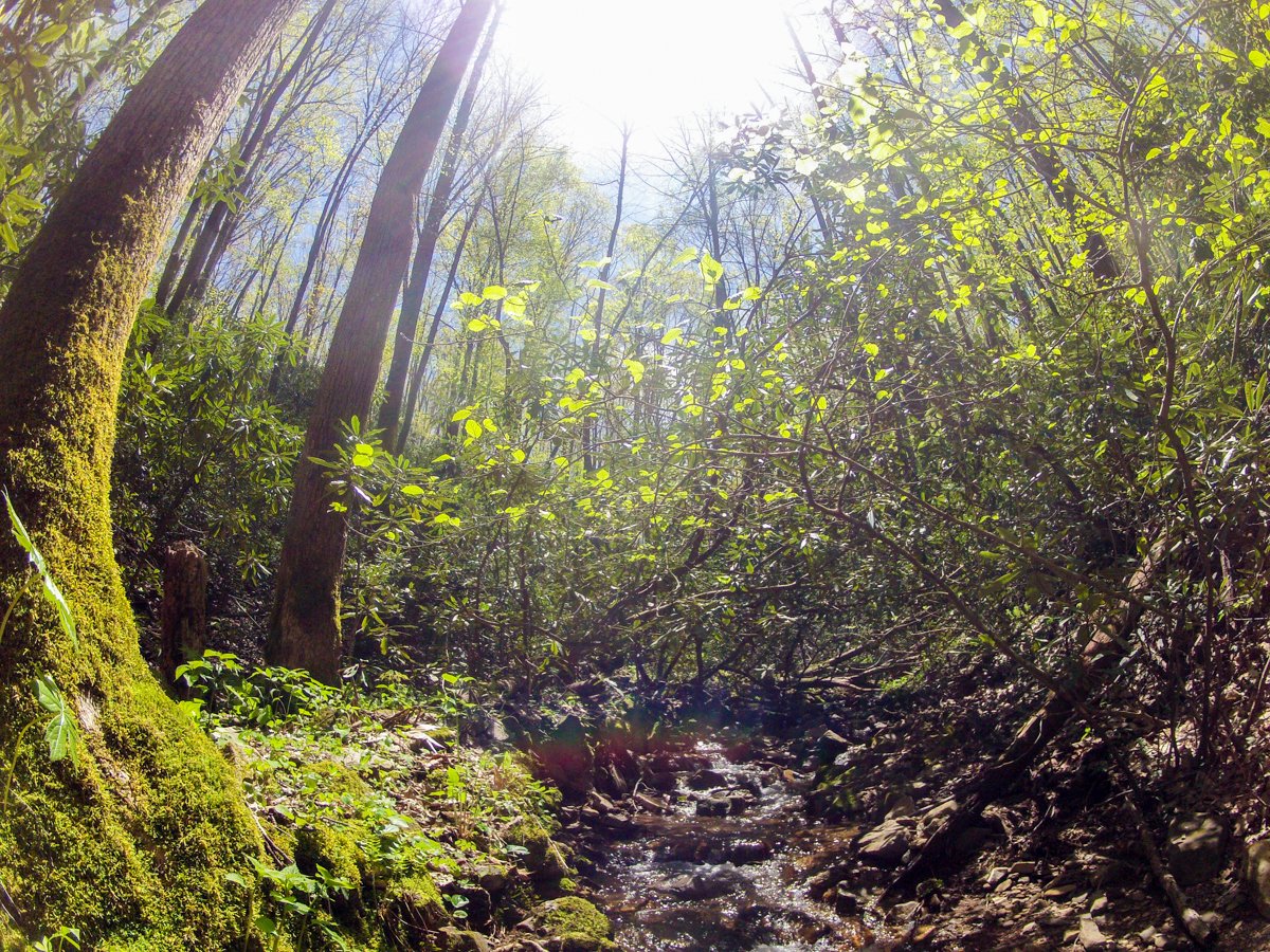 creek_mountain's tweet photo. We hope your weekend looks something like this.
#alwaysadventuring #optoutside https://t.co/LhoW0x1Auw