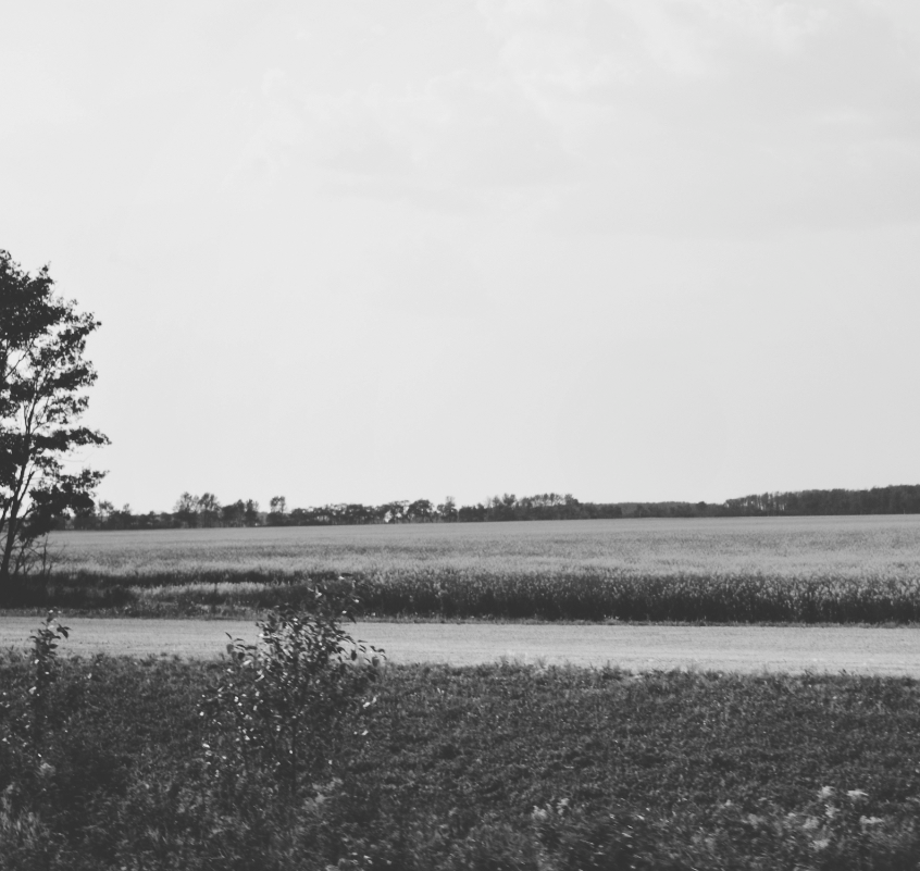 IronHorseTrail's tweet photo. In 1999, a legacy began in Canada’s Lakeland–the legacy of Alberta’s Iron Horse Trail. From across the Lakeland, people came together to preserve this historic route so that enjoyment of this trail and park system could last for generations. https://t.co/mTBnqUndEq