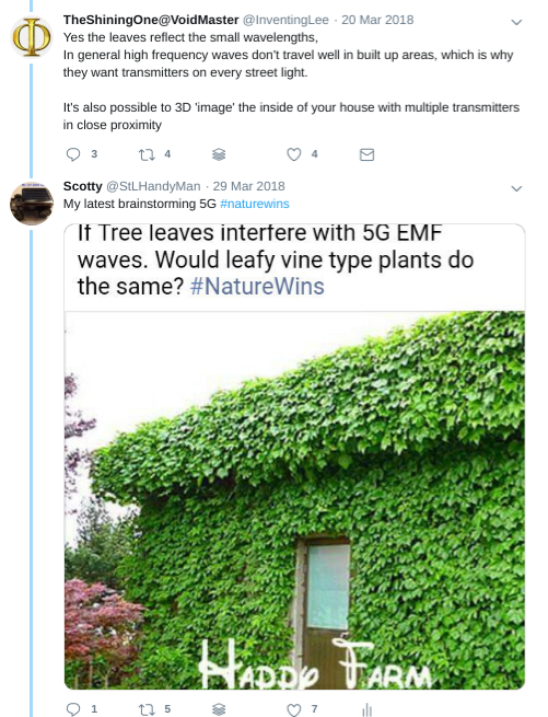 StLHandyMan's tweet image. Saved for Posterity.  I have saved enough Fast Growing Vinny Plant Seeds to cover the House if needed.