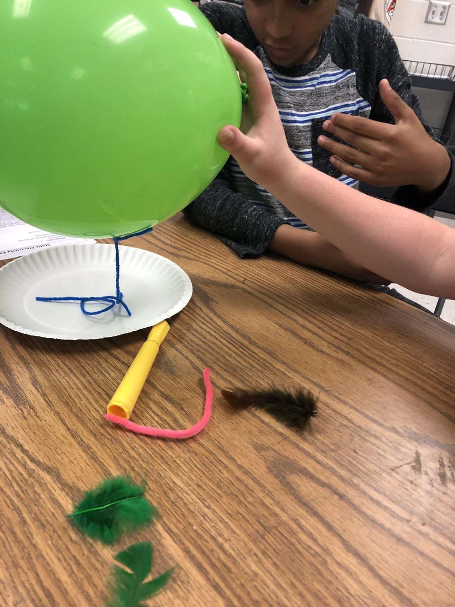 stm_4tigers's tweet image. Had some fun with static electricity today during Science! Students had a blast!! @TNS_Tigers 
#engagement
#fourthgradescience