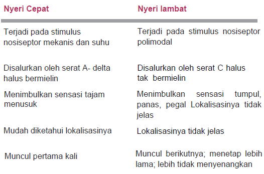 [Historia] Nosiseptor fkiafkunsri.wordpress.com/2019/05/18/his…