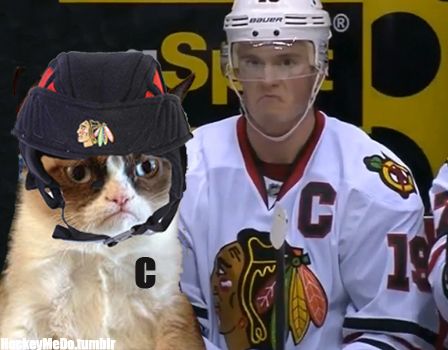 BrianHedger's tweet photo. R.I.P @RealGrumpyCat ...
I will forever remember you in this capacity. #Blackhawks #GrumpyCaptain @JonathanToews https://t.co/J98EDuBo4J