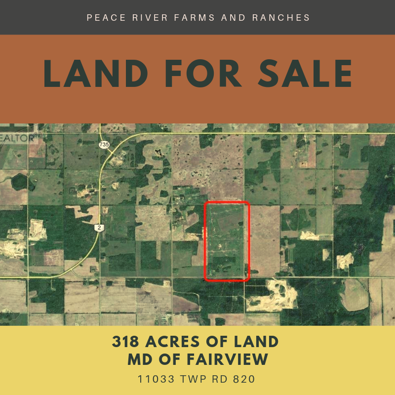 Peace River Farms Henry (henryvosfarms) Twitter