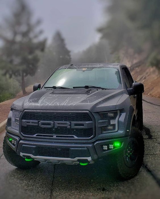 SharpTruck's tweet photo. Going green!

#fordfriday #ford #fordnation #fordlife #fordmodels #fordecosport #blueoval #blueovalgang #blueovalobsession #builtfordtough #classicford #fordculture #f150 #unreal #beautiful #love #fun #me #happy #picoftheday #photooftheday #summer https://t.co/agGgUKHBMB