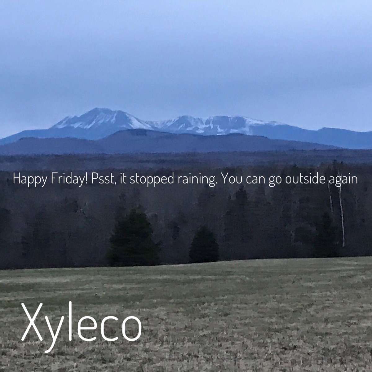 Xyleco, Inc. tweet media