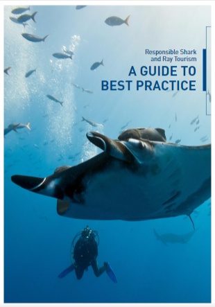 padiaware's tweet photo. Over the next 20 years, numbers of shark & ray tourism operators could double! Ensure you follow best practices w/our #SharkRayTourismGuide! #EndangeredSpecies #EndangeredSpeciesDay #SustainableTourism #SDGs #ProTips #SharkTourism https://t.co/Bfza9OfS9H https://t.co/iKCmaDBhh6