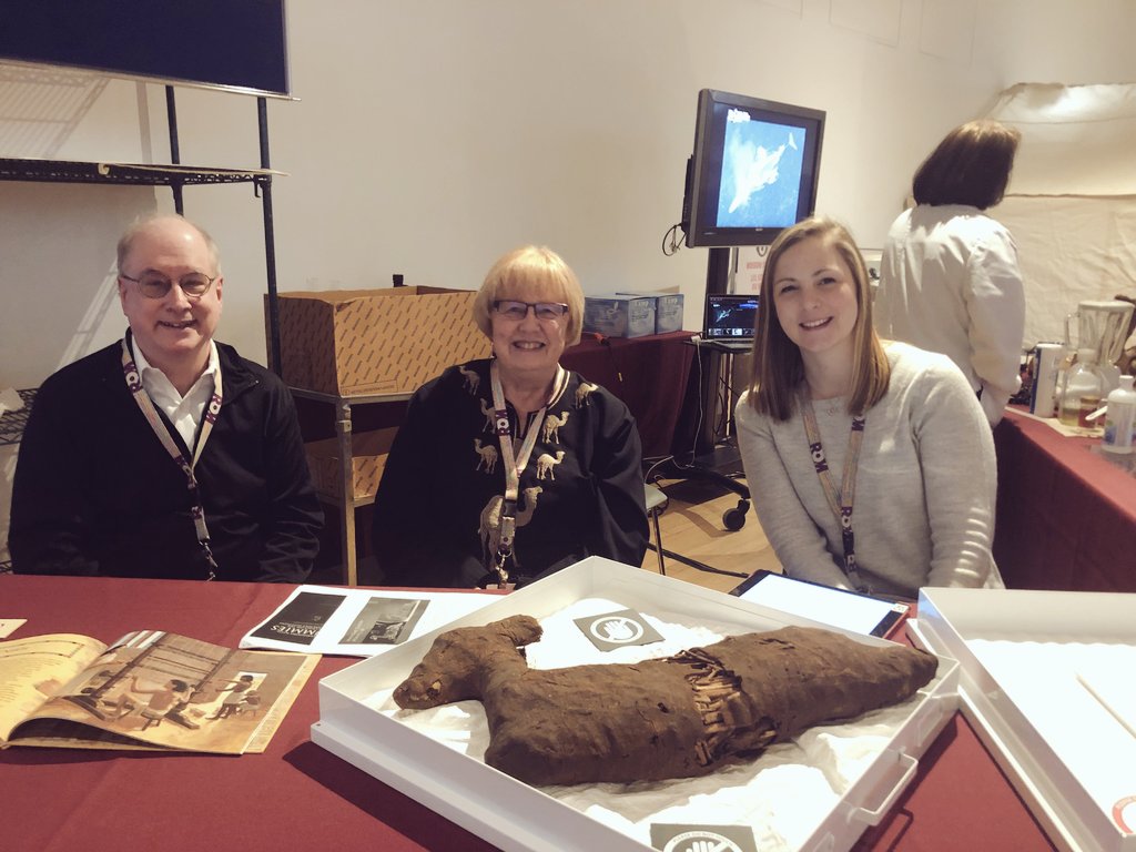 chernairn's tweet image. This year we managed to bring out #BehindTheScenes objects for visitors to #ExploreMW. Access to objects can be challenging at times (#conservationproblems) but why have artifacts if no one can see them?? #MuseumWeek #GazelleMummy #BookoftheDead #Egypt #MMSt50 #MMStTO #ROMToronto