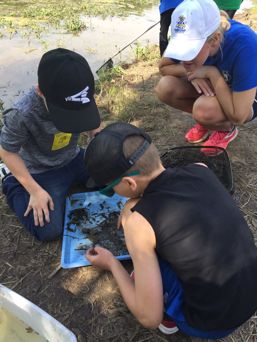 MichelleFine15's tweet photo. Beautiful day for a field trip to Busch Wildlife with @LVELiefer ‘s class!  The boys had fun bug sampling to find dragonfly larvae and different snail species.  🐌  #LVEleads #WSDlearns https://t.co/8MN3HXSUga