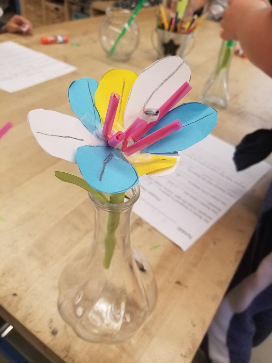 2nd graders designing flowers for pollinators. Will it attract a bat, bird, butterfly, or bee? We need to use evidence to argue how the size, shape, and color attracts different pollinators. <a href="/HTeNorthCounty/">High Tech Elem NC</a> #htenc #pblchat #cangss
