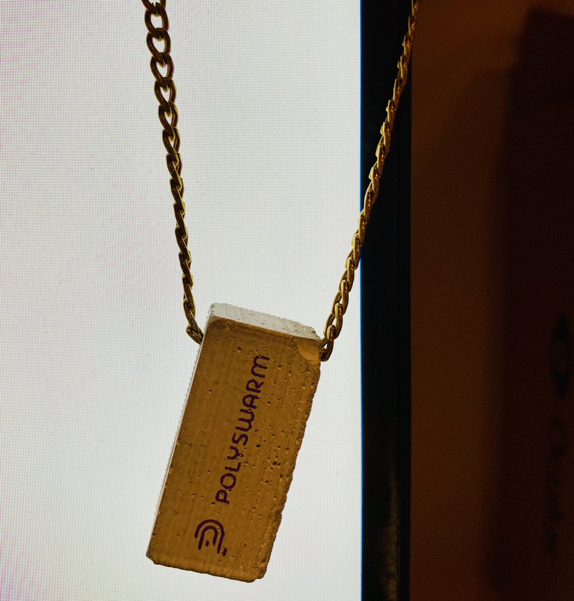 I won a literal blockchain at the Bitcoins workshop from #nsec19