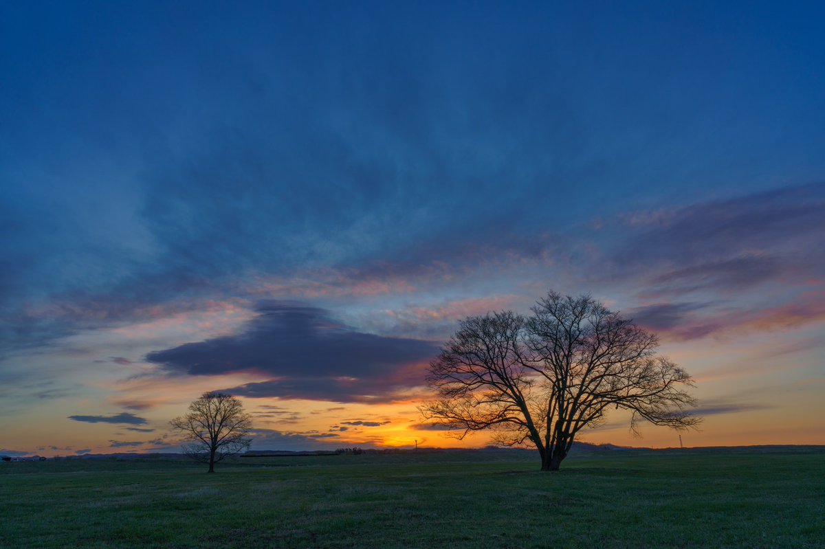 打矢晶一 Photography北海道くしろ على تويتر ドリカムの Eyes To Me の歌詞に登場する 豊頃町 の ハルニレの木 こっち向いて笑って 照れないで Smile Smile Smile 今日もご機嫌な一日を riii Sel24f14gm ハルニレ 撮影5月3日am4 11 4 32 T Co