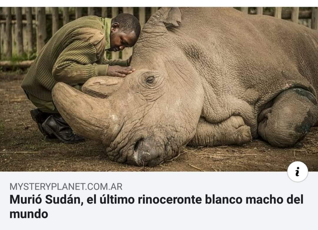 EdgarGaray97's tweet photo. Esto me dejo pensando, ¿y si los animales se están yendo antes de que llegue el fin del mundo, así los culpables de este paguemos las consecuencias? 🤔😢
#safetheplanet https://t.co/91DQ1sQSES