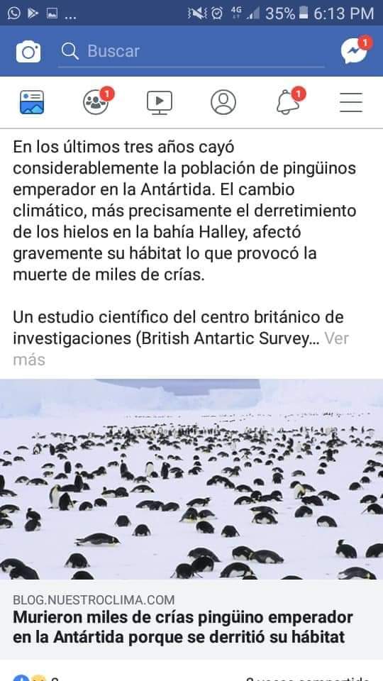 EdgarGaray97's tweet photo. Esto me dejo pensando, ¿y si los animales se están yendo antes de que llegue el fin del mundo, así los culpables de este paguemos las consecuencias? 🤔😢
#safetheplanet https://t.co/91DQ1sQSES
