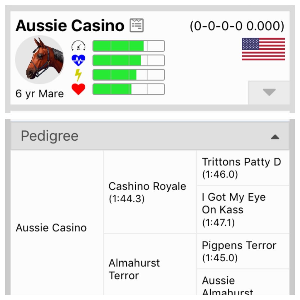 😍AUCTION ALERT😍
    NO RESERVE BID

P A C I F I C O 🏄🏻‍♂️⛱

#OffAndPacing🏁
<a href="/AndPacing/">Off and Pacing</a>📲
#HarnessRacing🐴
<a href="/ScottDuke18/">Scott Duke</a>🏆
<a href="/offandpacing_ry/">Ryan Clements</a>😎