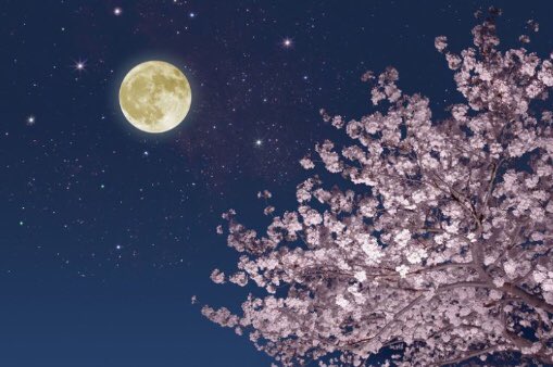 The #fullmoon in #Scorpio on 18th May is known as the #FlowerMoon, in honour of the blooming flowers of spring. It will also be a rare seasonal #BlueMoon, as it is the 3rd of 4 full moons this spring. Usually there are 3 per season, being one a month. 5:11 pm EDT, 1O:11 pm BST
