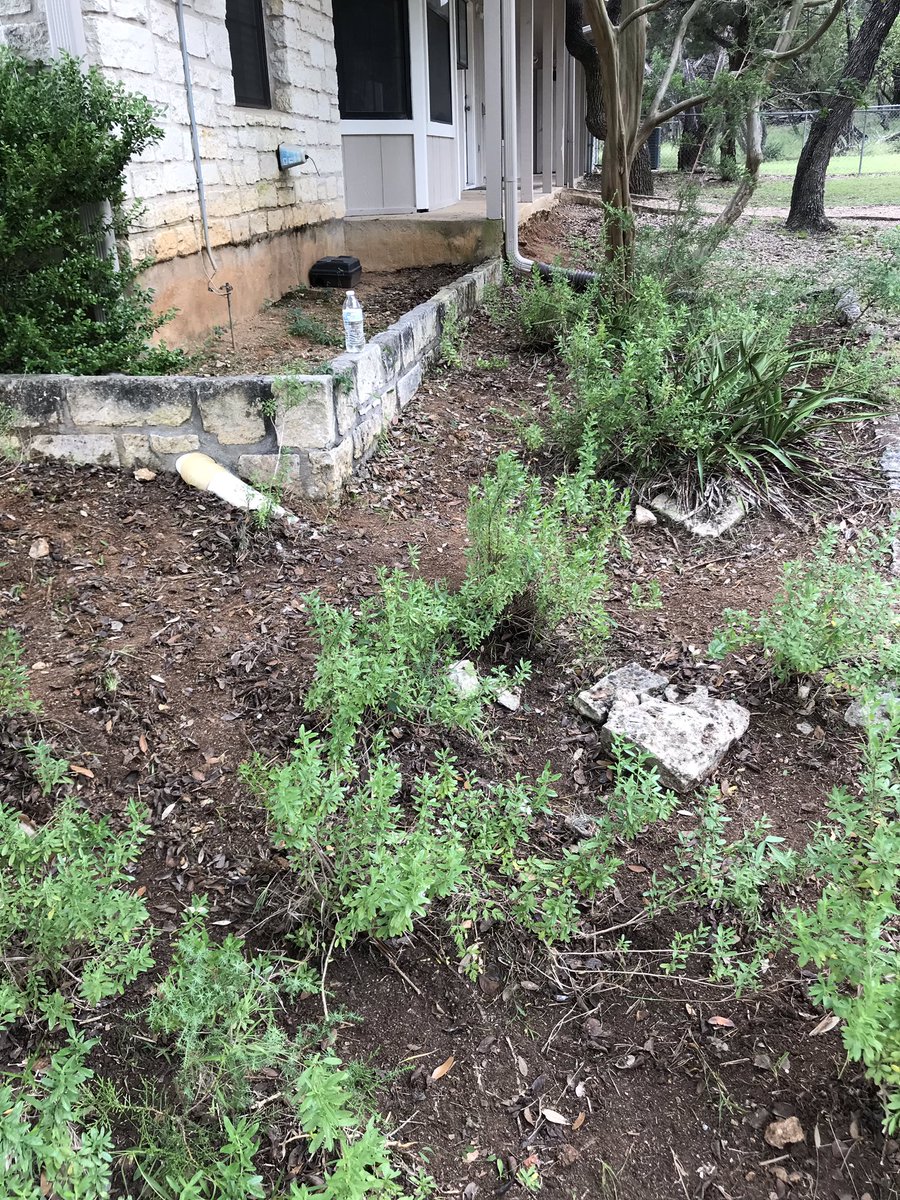 What a cool day helping <a href="/wmsrangers/">Wallace Rangers</a> students serve their community. The kids were awesome! Super proud to help them lead the way! #ourworkmatters #doitfortheW