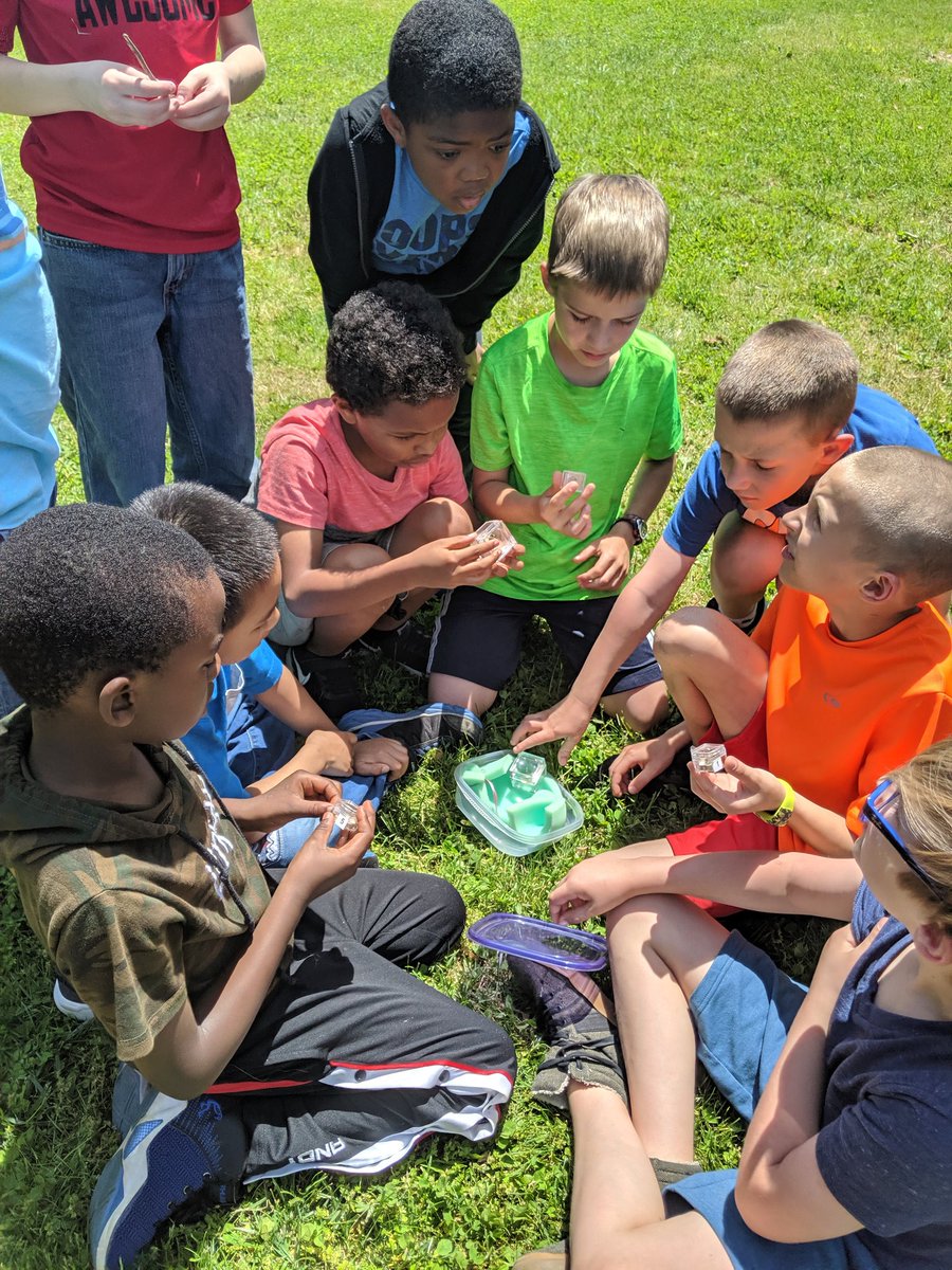 cgoetzbcps's tweet photo. Analyzing bees! #earthdayeveryday #beeanengineer @BCPSOutdoorSci @PotSpringEl https://t.co/RVUFk5xv2a