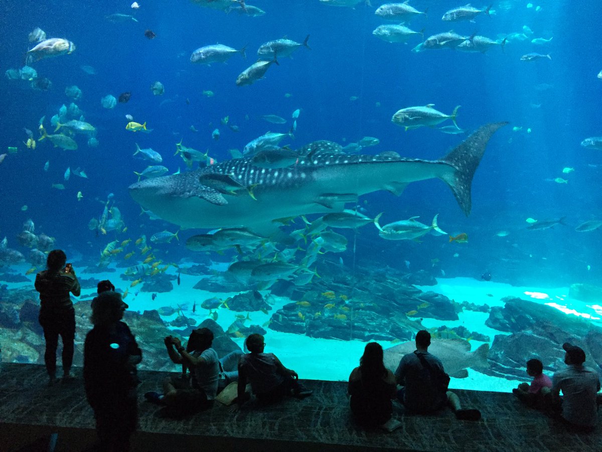 ジョージア水族館