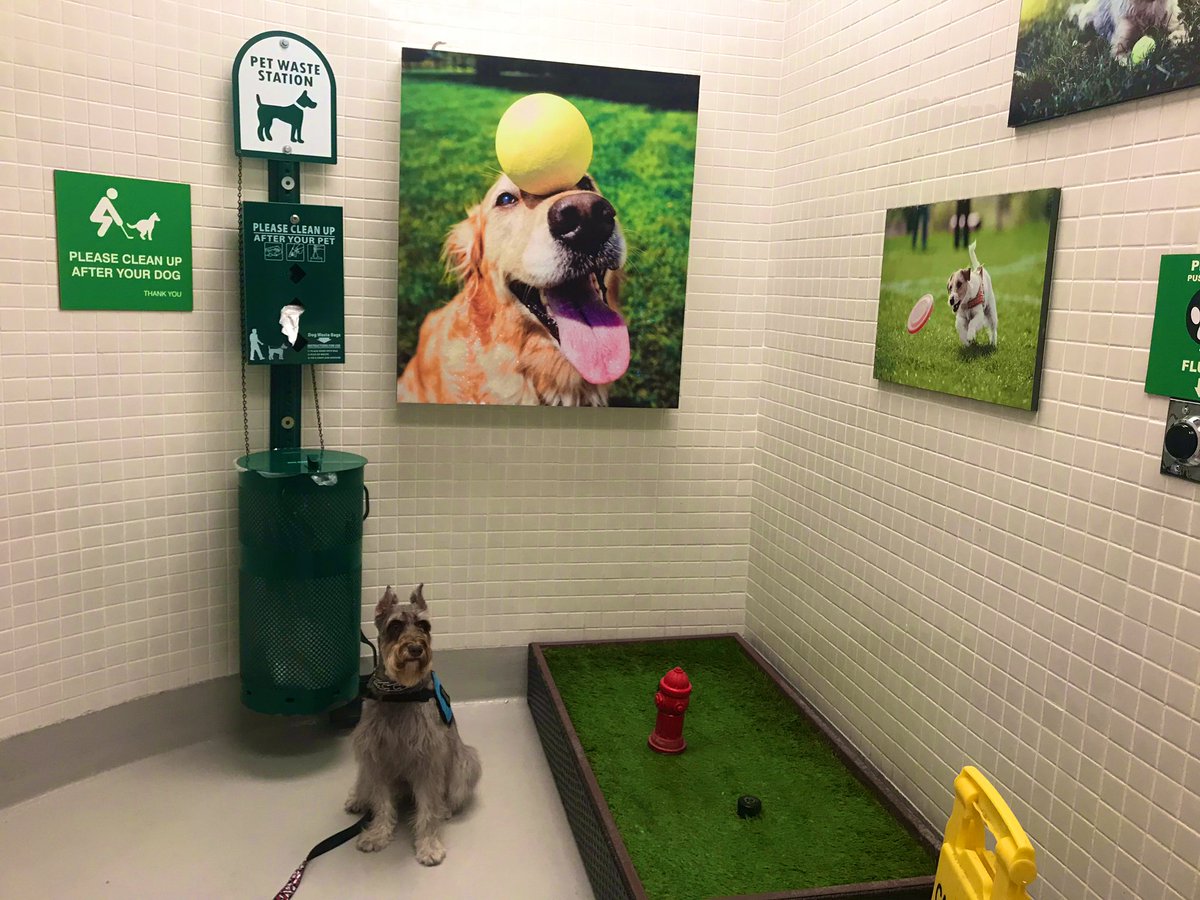 gruposeraut's tweet photo. En el aeropuerto de Miami, hay una aérea para las mascotas que están de viaje, que me pareció genial podrían implementar en quito señor Alcalde @LoroHomero https://t.co/7NNAePoYjV