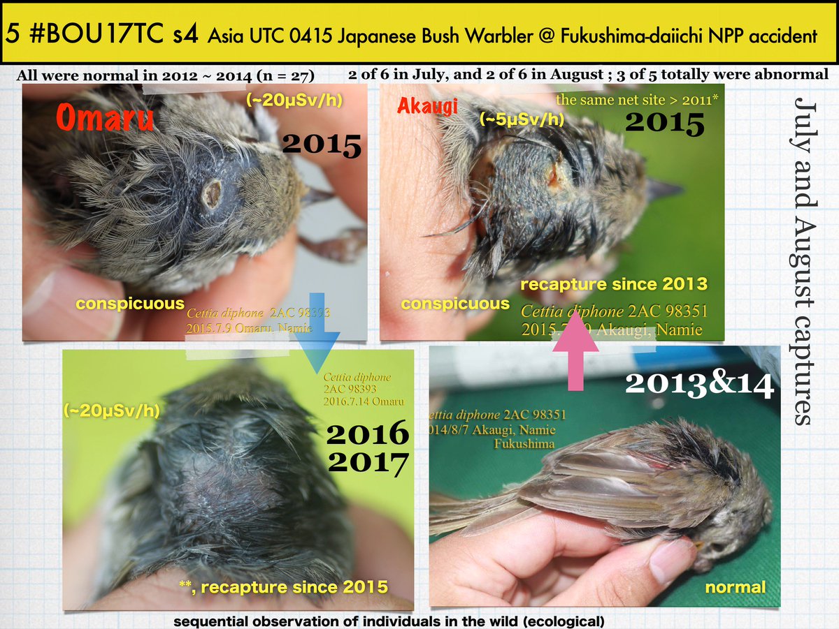 いしだ けん tweet media