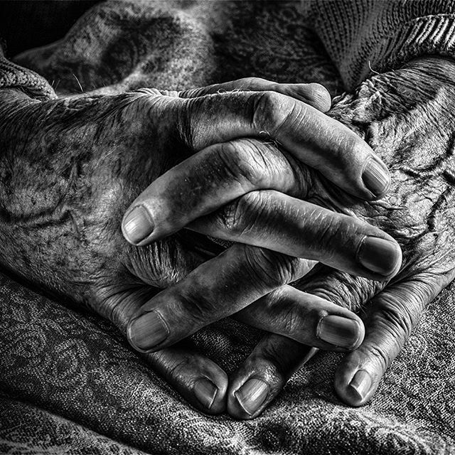 Old Hands
Richard came to me and asked that I photograph his hands using studio lights. 
#canonportraits #lightroom #portraitphotography #hands #scarf #nails #wrinkles #fingers #portrait #instasports #instacool #photooftheday #lightroomedit #blackandwhitephoto
#blackandwhite…