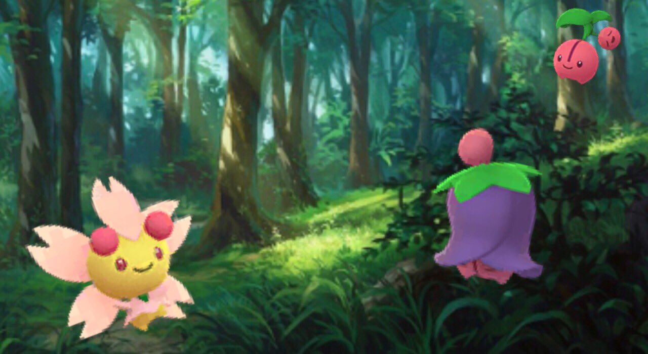 Onepoke チェリムは天候が晴れの時に ポジフォルム その他の時には ネガフォルムが登場してくれるとのこと 進化前のチェリンボ が なかなか出会えないなぁ ポケモンgo チェリム チェリンボ T Co Omp0kozzqa Twitter
