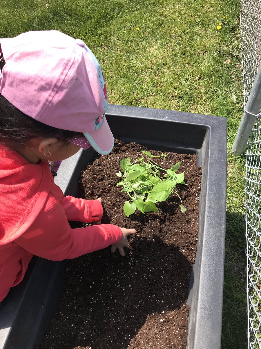 TantonTeaches's tweet photo. Our FDK Flyers brought their planting project outside today 🌱 #kidsengaged #planting101 #bringonthesunshine #handsonlearning #fundraiseforinquiry #carrots #beans #cucumbers #flowers @LambethPS1 @msanneelliott @JRichmond1969 https://t.co/mtHjsgdjh0