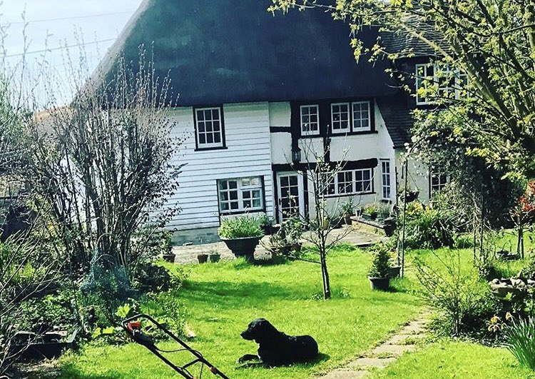 donlympegrow's tweet photo. @SUZI_The_Nose @SeismicHarbor My dog jet (RIP) and my cottage https://t.co/879gi4wgff