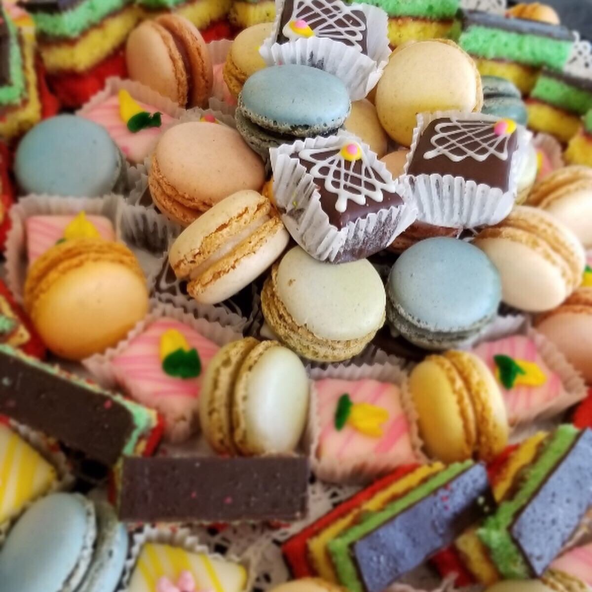 Max & Mo's tweet media