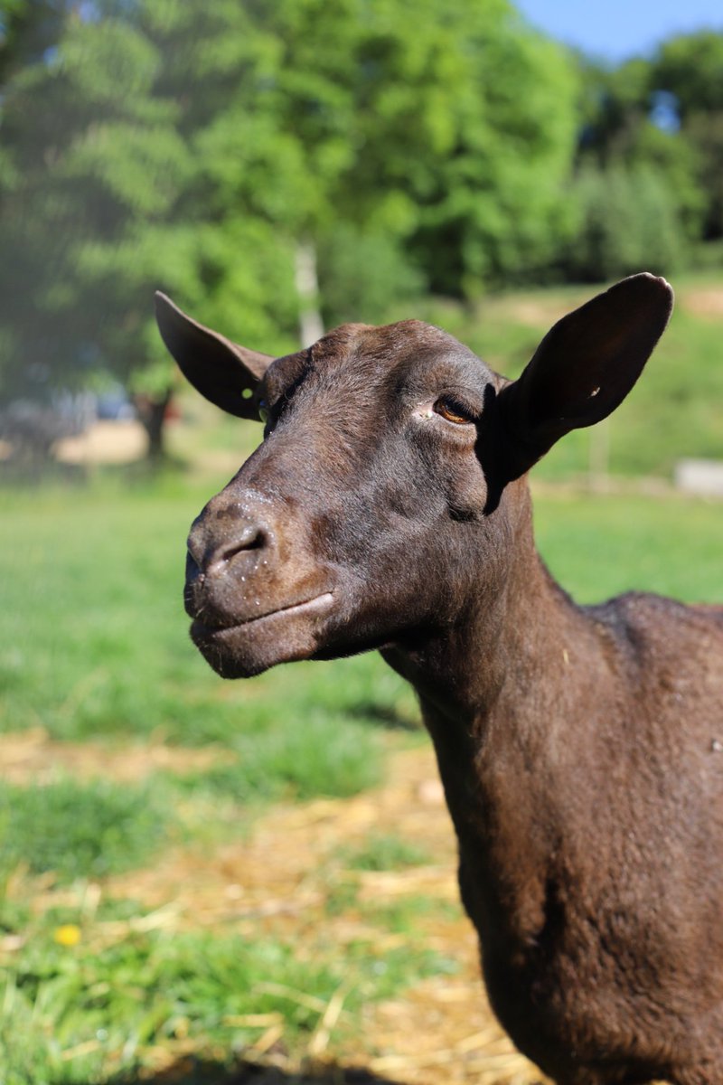 Un fin de semana alucinante! Gente buena y unas experiencias para repetir una y otra vez! Cataluña MOLA!
#cataluñaparafoodies 
#CatalunyaExperience 
#BenvingutsaPagès19 
<a href="/catexperience/">Catalunya Experience</a>