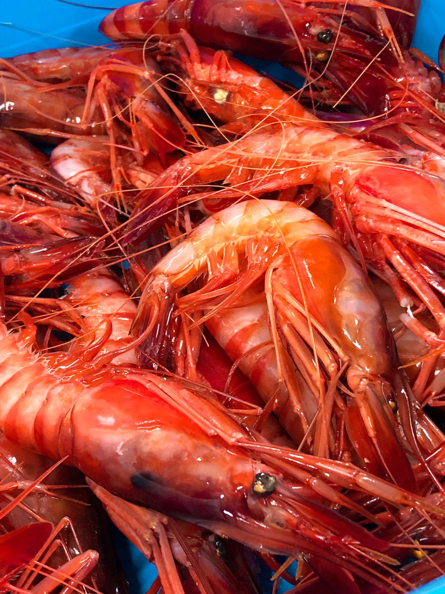 Viajazo conociendo las costumbres de Cataluña y Benvinguts a Pagès en #cataluñaparafoodies 
#CatalunyaExperience 
#BenvingutsaPagès19 
<a href="/trypticcom/">Tryptic Comunicació</a> 
<a href="/catexperience/">Catalunya Experience</a>