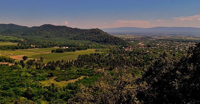 Utskhography's tweet photo. ❤ Kvareli
#kvareli #landscape #cloud #sky #adventureinspired #makeheritage #LoveTheWorld #discoverglobe #inspravel #neverstopexploring
#letsgoeverywhere #meettheworld #themoderndayexplorer #lonelyplanet
#tlpicks #justgoshoot #travelandlife
#travelg… https://t.co/zfbL1bOeIP https://t.co/cG1cvwiRwu