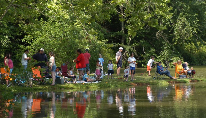 One Fish Two Fish Three Fish For Free mccallaaroundknoxville.com/2019/06/01/one…