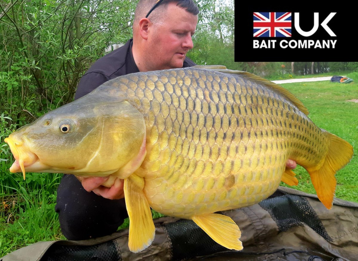 Team member Gary Shaw had this stunning 37.12 common on a recent trip to his club water.. PRO-NUT wafters soaked in matching dip fished over chopped pro-nut & pro-evo did the trick for Gary 🎣🎣
#UKBAITCOMPANY
#PRONUT
#PROEVO
#FIX8
#PROFRUIT
#WHEREQUALITYMATTERS