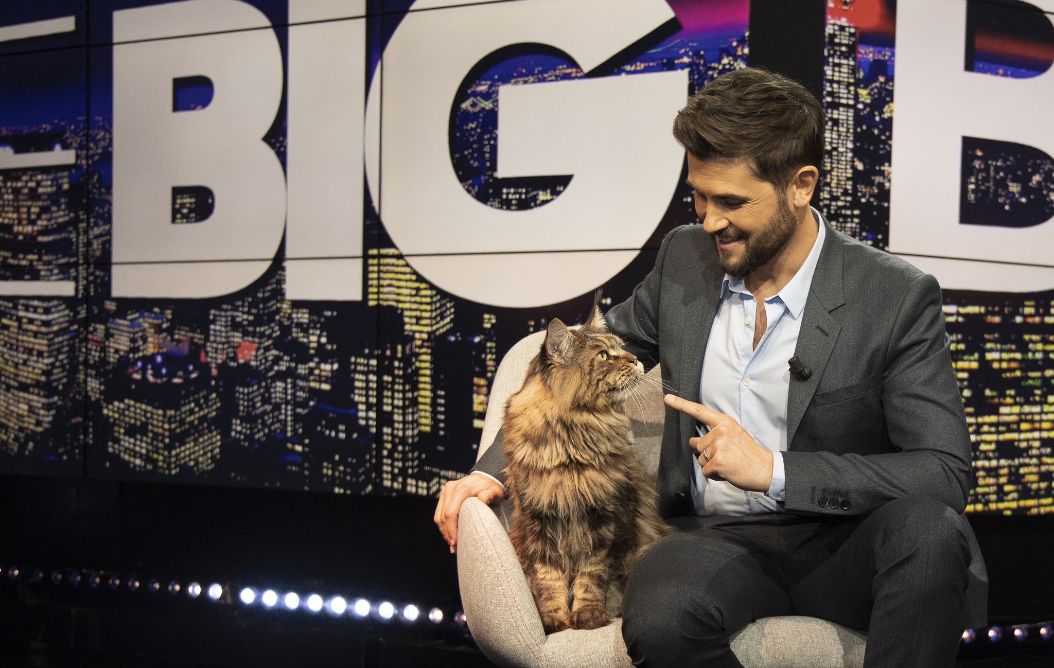 Christophe Beaugrand Gerin Twitterissa Hey Norbert J Ai Une Bonne Nouvelle Pour Toi Le Bigbetisier Special Chats A Cartonne Hier Soir Sur Tfx Plus De 500 000 Telespectateurs Pres De