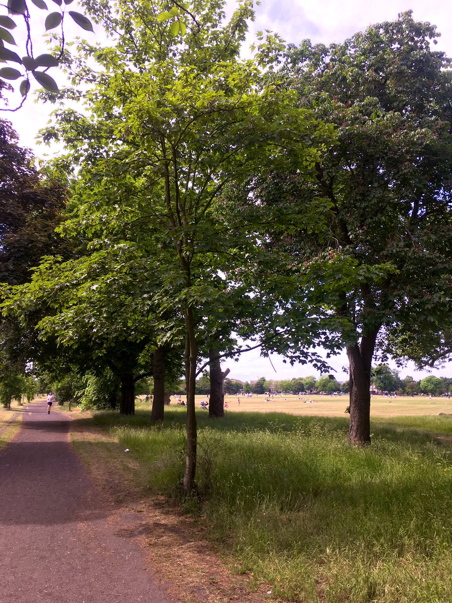 Alice Lamb tweet media